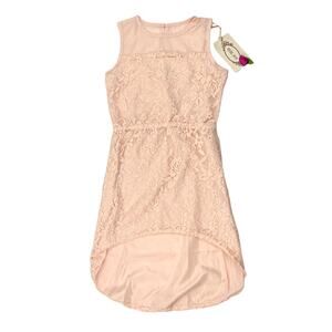 NWT Joyfolie Mia Joy Pink Lace Dress